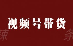 视频号带货联盟,赚信息差的带货钱,只需手机随时随地都可以做!-淘金日记