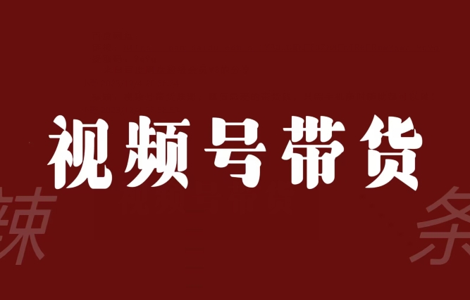 视频号带货联盟,赚信息差的带货钱,只需手机随时随地都可以做!-淘金日记