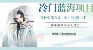 冷门蓝海项目，操作简单，小白3分钟上手，多种引流方式，保姆式全流程教学【揭秘】-淘金日记