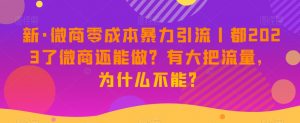 新·微商零成本暴力引流丨都2023了微商还能做?有大把流量,为什么不能?-淘金日记
