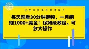 每天观看30分钟视频，一月躺赚1000+美金！保姆级教程，可放大操作【揭秘】-淘金日记