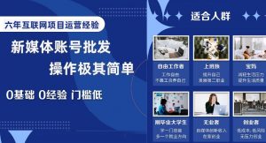 新媒体账号批发,操作极其简单,0基础0经验门槛低【揭秘】-淘金日记