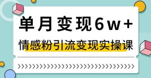 单月变现6W+，抖音情感粉引流变现实操课，小白可做，轻松上手，独家赛道【揭秘】-淘金日记