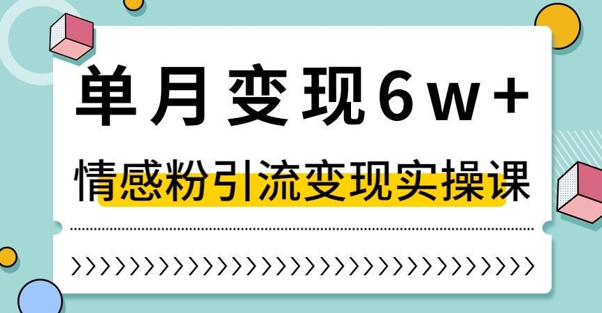 单月变现6W+,抖音情感粉引流变现实操课,小白可做,轻松上手,独家赛道【揭秘】-淘金日记