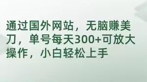 通过国外网站,无脑赚美刀,单号每天300+可放大操作,小白轻松上手【揭秘】-淘金日记