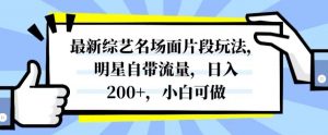 最新综艺名场面片段玩法，明星自带流量，日入200+，小白可做【揭秘】-淘金日记