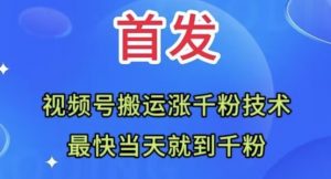 全网首发：视频号无脑搬运涨千粉技术，最快当天到千粉【揭秘】-淘金日记