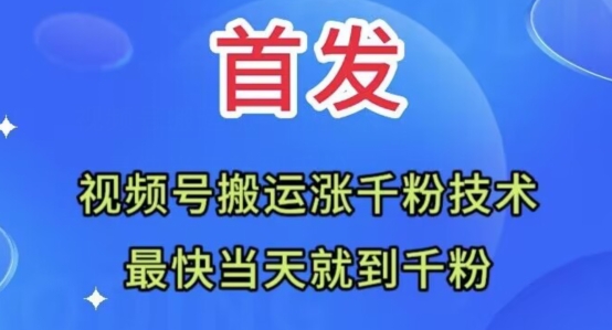 全网首发:视频号无脑搬运涨千粉技术,最快当天到千粉【揭秘】-淘金日记