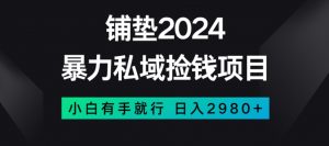 暴力私域捡钱项目,小白无脑操作,日入2980【揭秘】-淘金日记