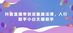 抖音直播带货流量激活课,入行新手小白主播必学-淘金日记