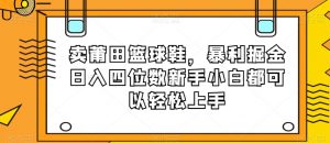 卖莆田篮球鞋,暴利掘金日入四位数新手小白都可以轻松上手【揭秘】-淘金日记