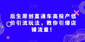 后生原创直通车高投产低价引流玩法，教你引爆店铺流量！-淘金日记