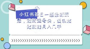 小红书每日一题最新玩法，涨粉起号快，复制粘贴就能月入几千【揭秘】-淘金日记