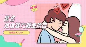 全网首发，揭秘超冷门匿名短信项目，通过信息差日入几百+【揭秘】-淘金日记