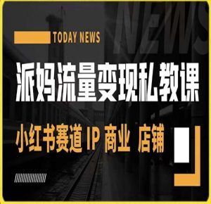 派妈流量变现私教课,小红书赛道IP 商业 店铺 -淘金日记