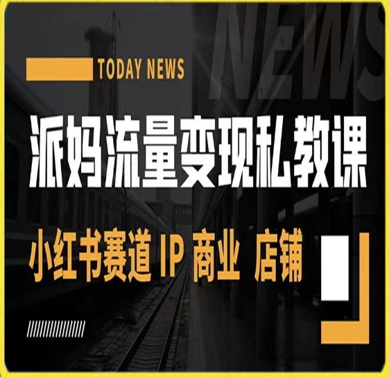 派妈流量变现私教课,小红书赛道IP 商业 店铺 -淘金日记