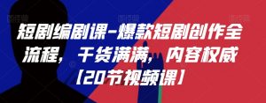 短剧编剧课-爆款短剧创作全流程,干货满满,内容权威【20节视频课】-淘金日记
