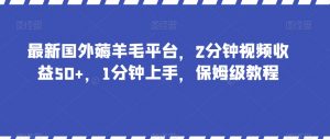 最新国外薅羊毛平台,2分钟视频收益50+,1分钟上手,保姆级教程【揭秘】-淘金日记