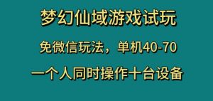 梦幻仙域游戏试玩,免微信玩法,单机40-70,一个人同时操作十台设备【揭秘】-淘金日记