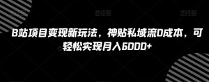 B站项目变现新玩法,神贴私域流0成本,可轻松实现月入6000+【揭秘】-淘金日记