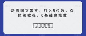 动态图文带货，月入5位数，保姆级教程，0基础也能做【揭秘】-淘金日记