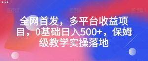 全网首发,多平台收益项目,0基础日入500+,保姆级教学实操落地【揭秘】-淘金日记