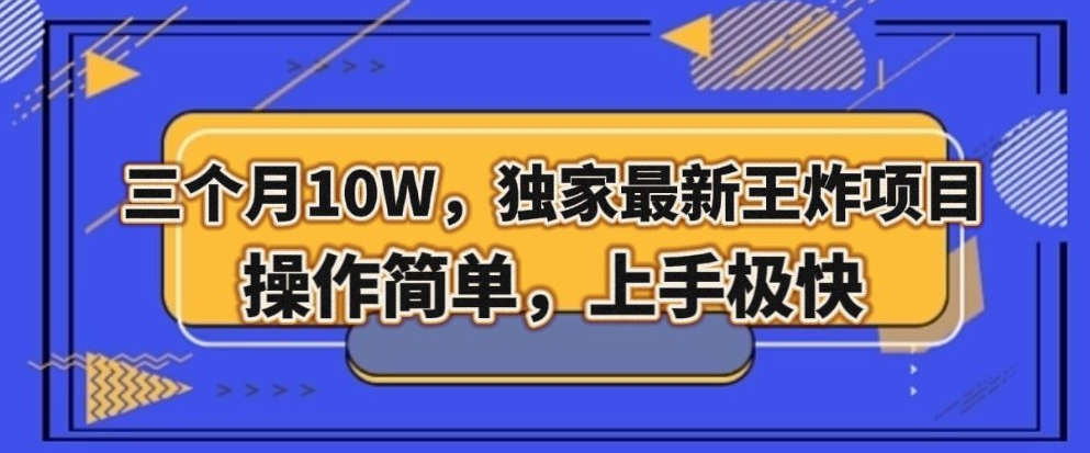 三个月10W，独家最新王炸项目！操作简单，上手极快【揭秘】-淘金日记