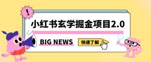 小红书玄学掘金项目，值得常驻的蓝海项目，日入3000+附带引流方法以及渠道【揭秘】-淘金日记