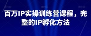 百万IP实操训练营课程，完整的IP孵化方法-淘金日记