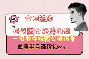 全网独家抖音图文矩阵引流,一招教你玩转公域流量,单号半月涨粉10w+【揭秘】-淘金日记
