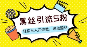 S粉变现，轻松日入四位数，黑丝题材+情感话术【揭秘】-淘金日记
