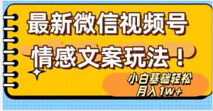微信视频号情感文案最新玩法,小白轻松月入1万+无脑搬运【揭秘】-淘金日记