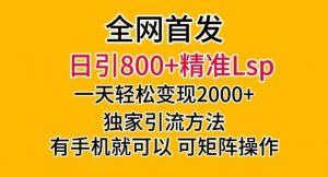 全网首发!日引800+精准老色批,一天变现2000+,独家引流方法,可矩阵操作【揭秘】-淘金日记