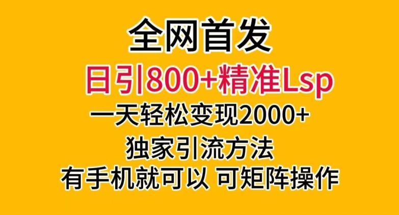 全网首发！日引800+精准老色批，一天变现2000+，独家引流方法，可矩阵操作【揭秘】-淘金日记