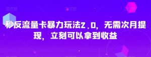 秒反流量卡暴力玩法2.0，无需次月提现，立刻可以拿到收益【揭秘】-淘金日记