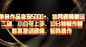 单条作品变现5000+、外网视频搬运二创,小白可上手,10分钟制作爆款高原创视频,矩阵操作【揭秘】-淘金日记