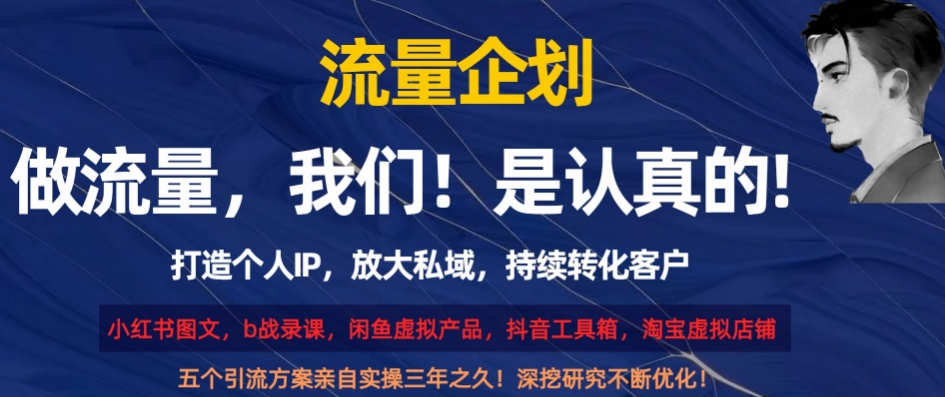 流量企划，打造个人IP，放大私域，持续转化客户【揭秘】-淘金日记
