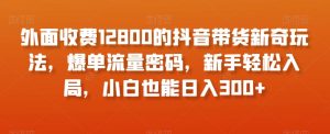 外面收费12800的抖音带货新奇玩法,爆单流量密码,新手轻松入局,小白也能日入300+【揭秘】-淘金日记