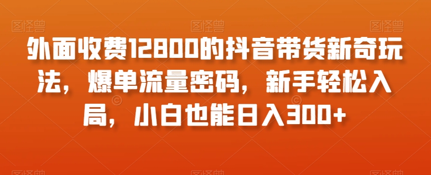 外面收费12800的抖音带货新奇玩法,爆单流量密码,新手轻松入局,小白也能日入300+【揭秘】-淘金日记