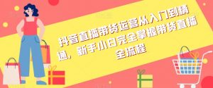 抖音直播带货运营从入门到精通，新手小白完全掌握带货直播全流程-淘金日记