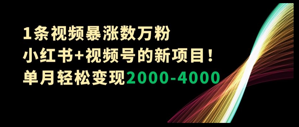 1条视频暴涨数万粉–小红书+视频号的新项目！单月轻松变现2000-4000【揭秘】-淘金日记