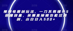 视频号原创玩法，一刀不剪提升5倍播放量，亲测直接搬也能过原创，小白日入500+【揭秘】-淘金日记
