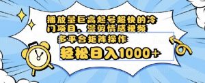 播放量巨高起号超快的冷门项目，漫剪情感视频，可多平台矩阵操作，轻松日入1000+【揭秘】-淘金日记