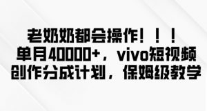 老奶奶都会操作，新平台无脑操作，单月40000+，vivo短视频创作分成计划【揭秘】-淘金日记