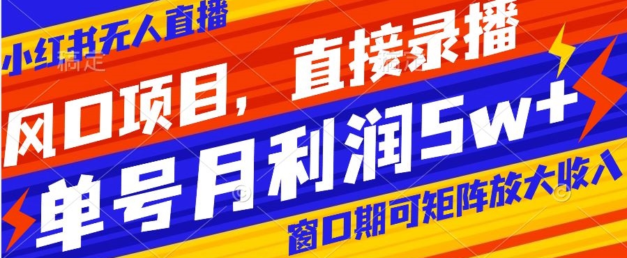 风口项目,小红书无人直播带货,直接录播,可矩阵,月入5w+【揭秘】-淘金日记