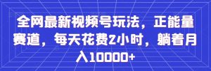 全网最新视频号玩法，正能量赛道，每天花费2小时，躺着月入10000+【揭秘】-淘金日记