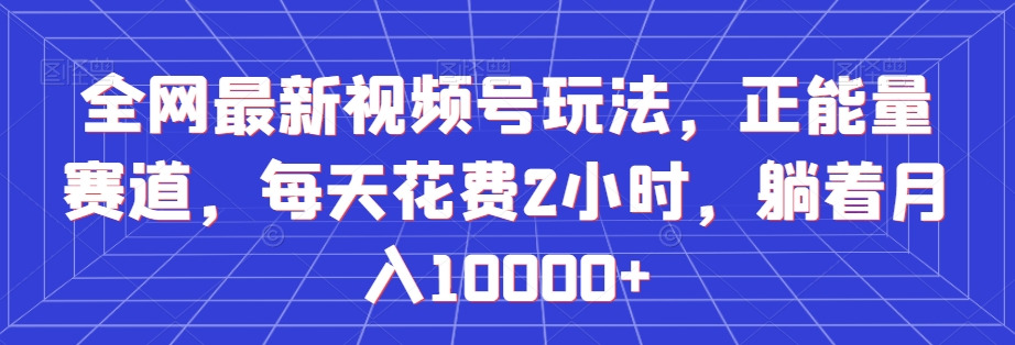 全网最新视频号玩法，正能量赛道，每天花费2小时，躺着月入10000+【揭秘】-淘金日记