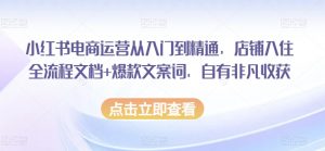 小红书电商运营从入门到精通,店铺入住全流程文档+爆款文案词,自有非凡收获-淘金日记