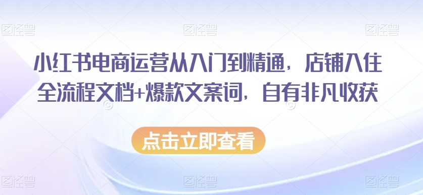 小红书电商运营从入门到精通，店铺入住全流程文档+爆款文案词，自有非凡收获-淘金日记