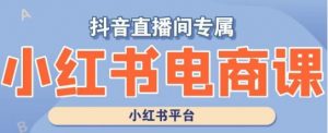 小红书电商高级运营课程,实操教学+案例分析-淘金日记